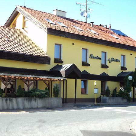 Penzion U Jirsaka Vikyrovice Экстерьер фото
